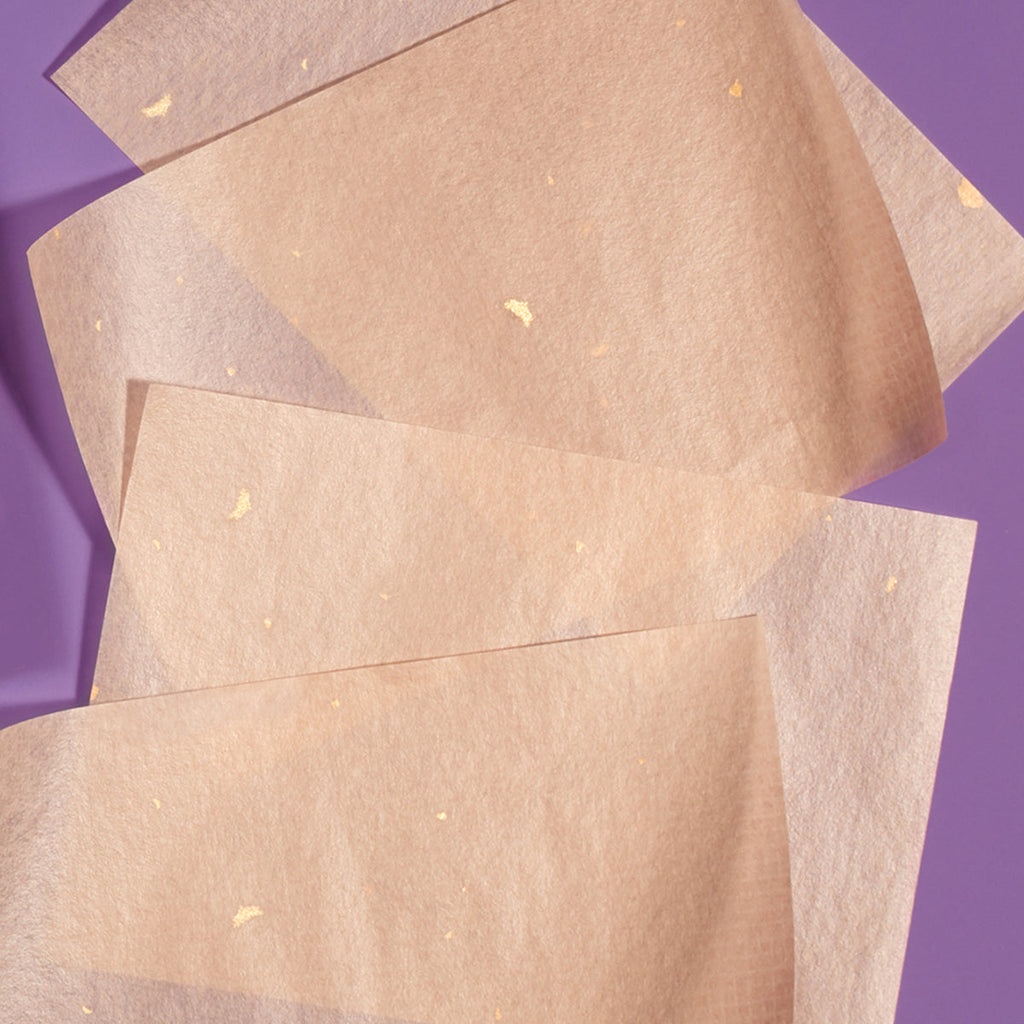 Aburatorigami Combination to Oily Skin Blotting Papers for Everyday Use