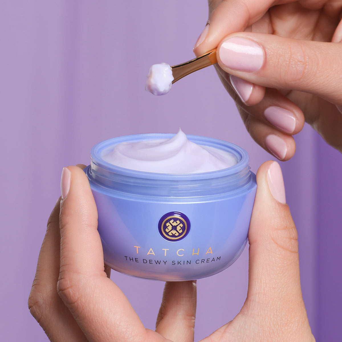 The Dewy Skin Cream Dry Skin Face Cream for Everyday Use