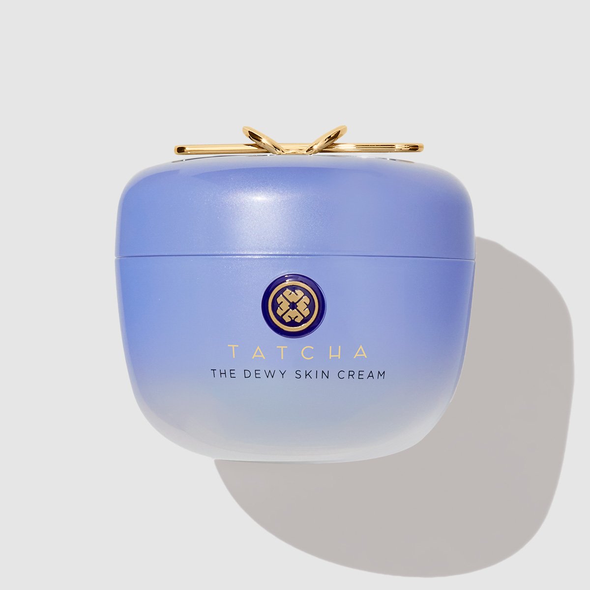 The Dewy Skin Cream Dry Skin Face Cream for Everyday Use