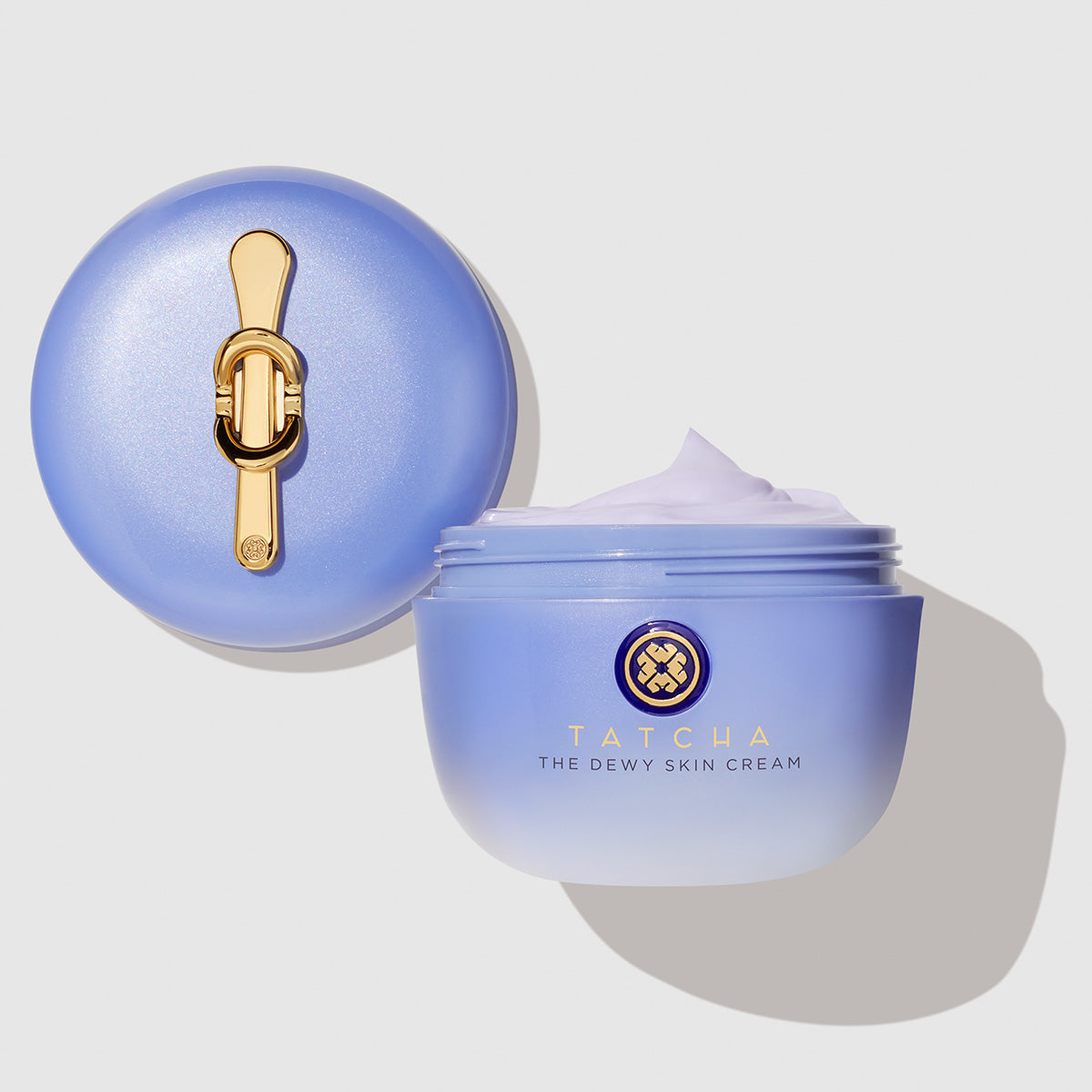 The Dewy Skin Cream Dry Skin Face Cream for Everyday Use