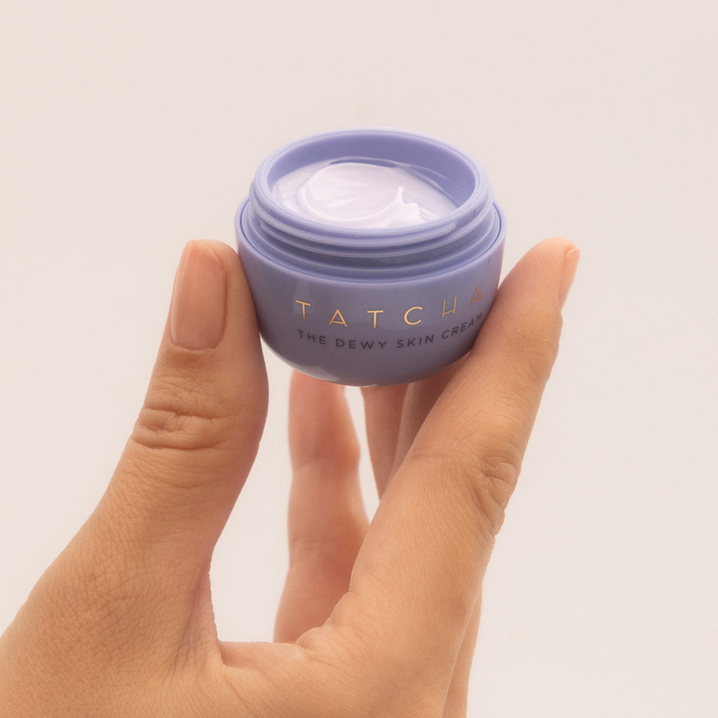 The Dewy Skin Cream Dry Skin Face Cream for Everyday Use