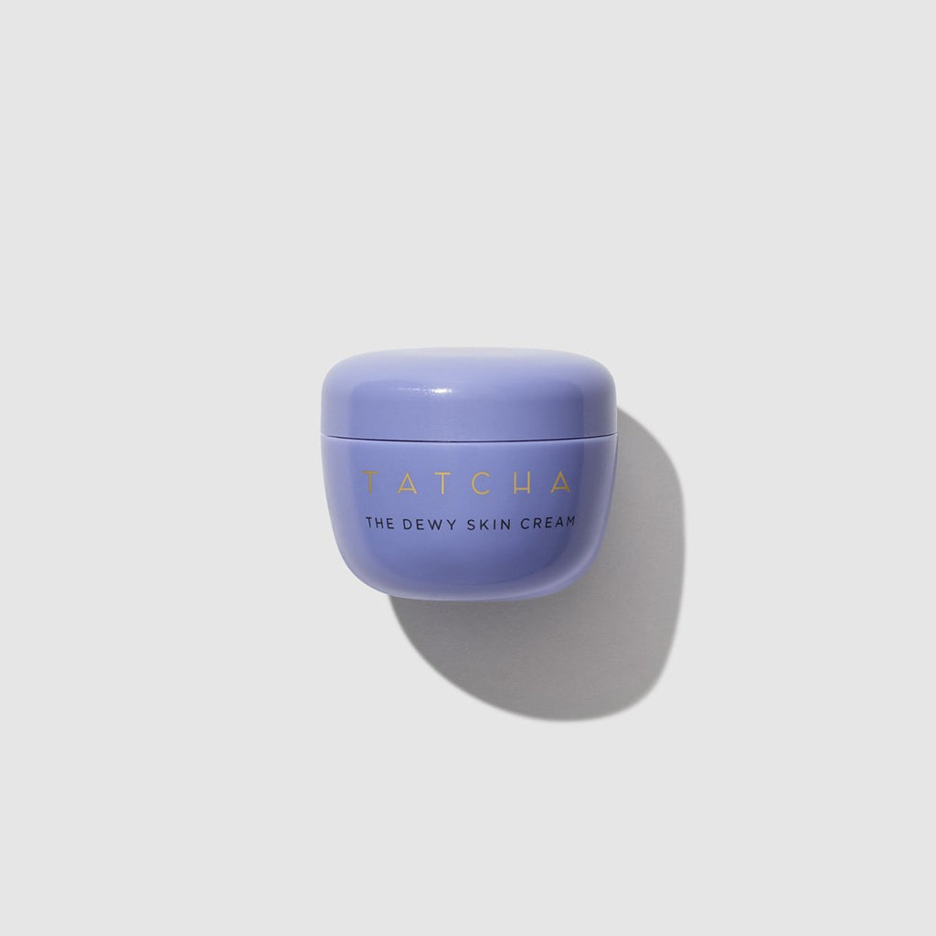 The Dewy Skin Cream Dry Skin Face Cream for Everyday Use
