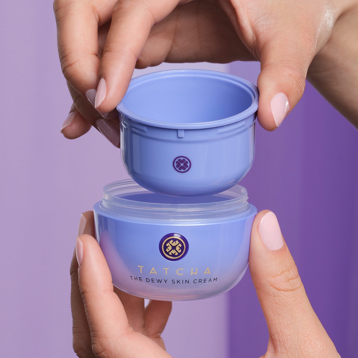 The Dewy Skin Cream Dry Skin Face Cream for Everyday Use