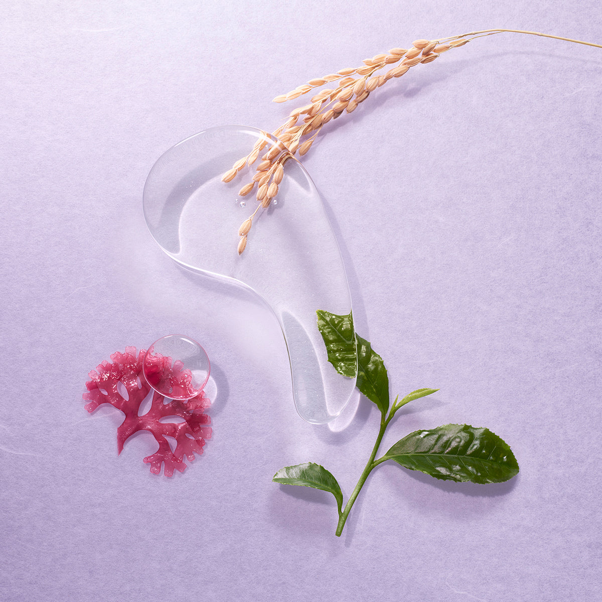 The Essence Fresh Looking Skin Facial Essence for Everyday Use