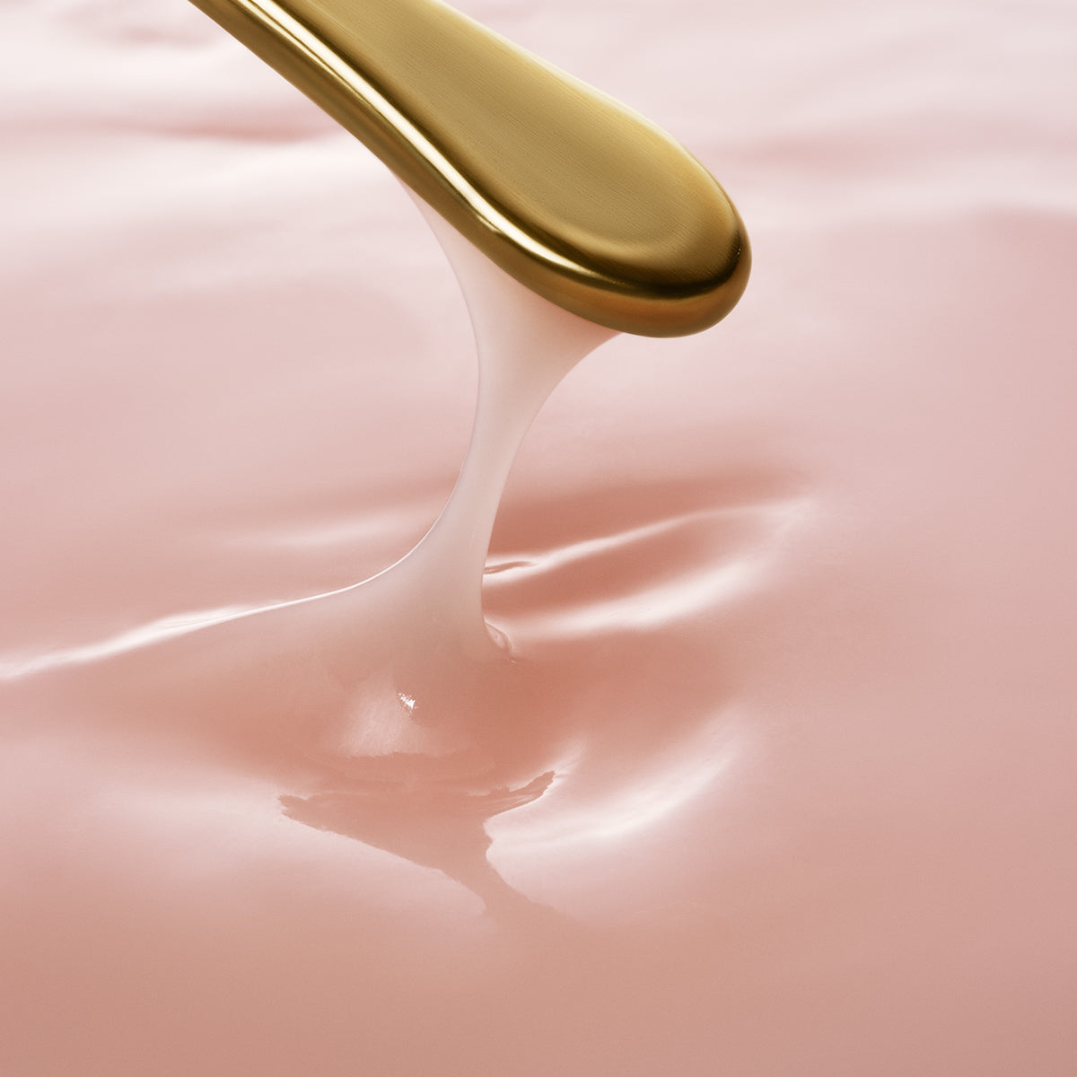 The Longevity Memory Cream A Range of Skin Types Face Cream for Everyday Use