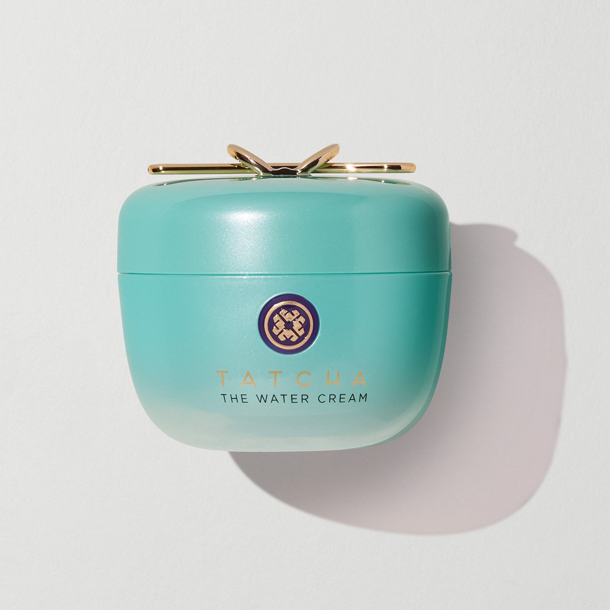 The Water Cream Combination to Oily Skin Face Cream for Everyday Use